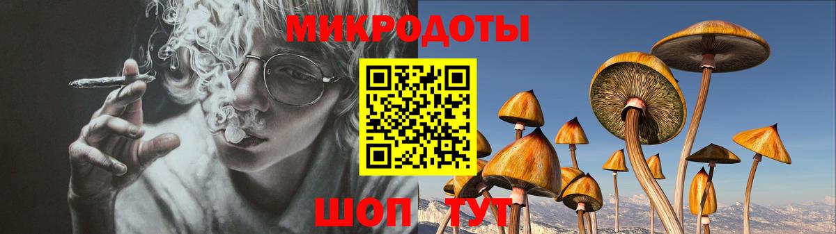 Галлюциногенные грибы Magic Shrooms  Вход с VPN  Хасавюрт  Галлюциногенные грибы мухоморы 